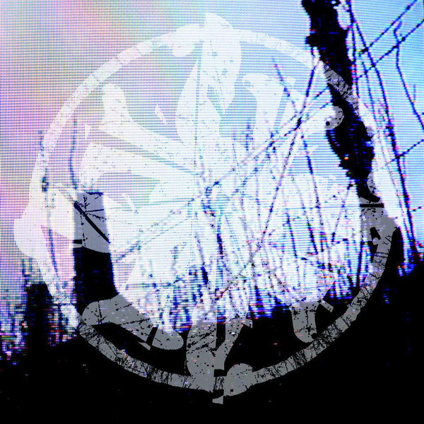 Rot In Hell - A Thick Rope And A Strong Branch - Mint (M) - Vinyl