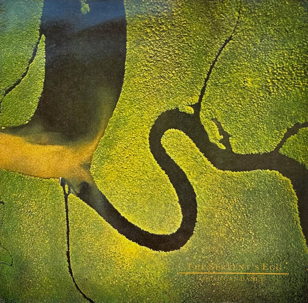 Dead Can Dance - The Serpent's Egg - Very Good Plus (VG+) - Vinyl