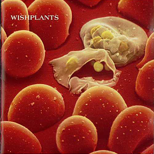 Wishplants - Coma - Very Good Plus (VG+) - Vinyl