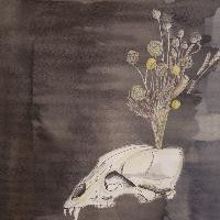 Steve Gunn and Black Twig Pickers - Seasonal Hire - Mint (M) - CD