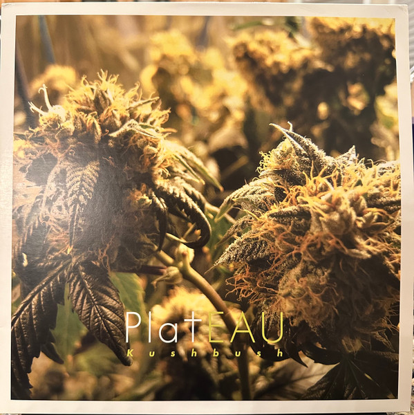 Plateau - Kushbush - Mint (M) - Vinyl