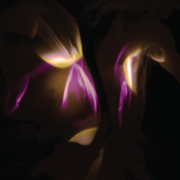 Shedir - Before The Last Light Is Blown - Mint (M) - Vinyl
