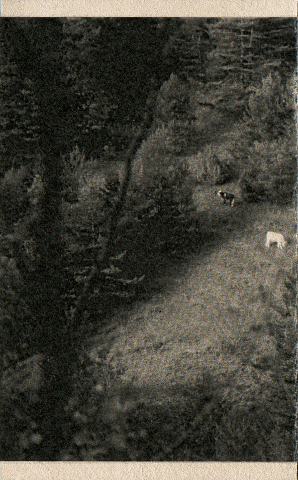 Sentinel (19) - Aucupre - Mint (M) - Cassette
