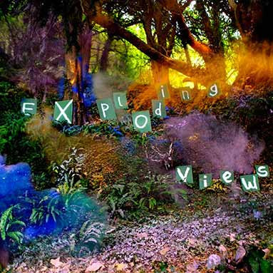 SJ Esau - Exploding Views - Mint (M) - CD