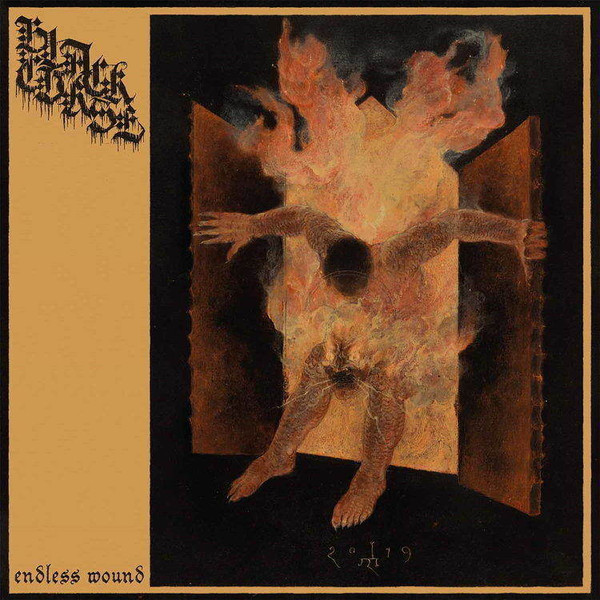 Black Curse (2) - Endless Wound - Near Mint (NM or M-) - Vinyl