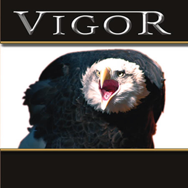 Vigor (20) - Great Dreams - Very Good Plus (VG+) - CD