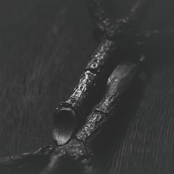 Trepaneringsritualen - ᛉᛦ – Algir; Eller Algir I Merkstave - Mint (M) - Vinyl