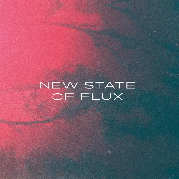 Various - New State Of Flux - Mint (M) - CD