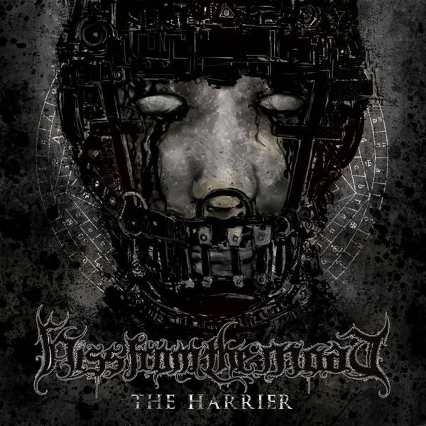Hiss From The Moat - The Harrier - Mint (M) - Vinyl