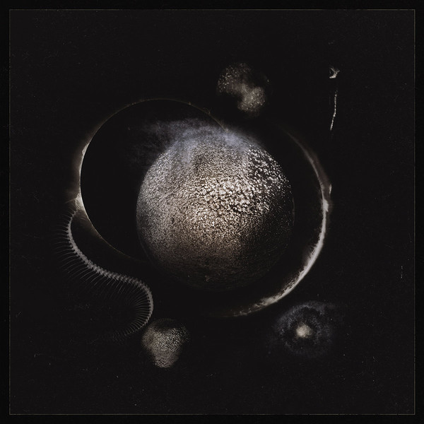 Enthroned - Cold Black Suns - Mint (M) - Vinyl