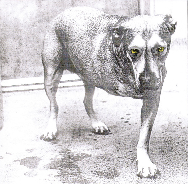 Alice In Chains - Alice In Chains - Mint (M) - CD