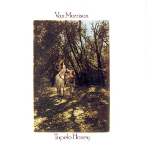Van Morrison - Tupelo Honey - Near Mint (NM or M-) - CD