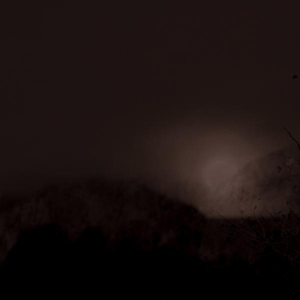 William Fowler Collins - Perdition Hill Radio - Mint (M) - CD
