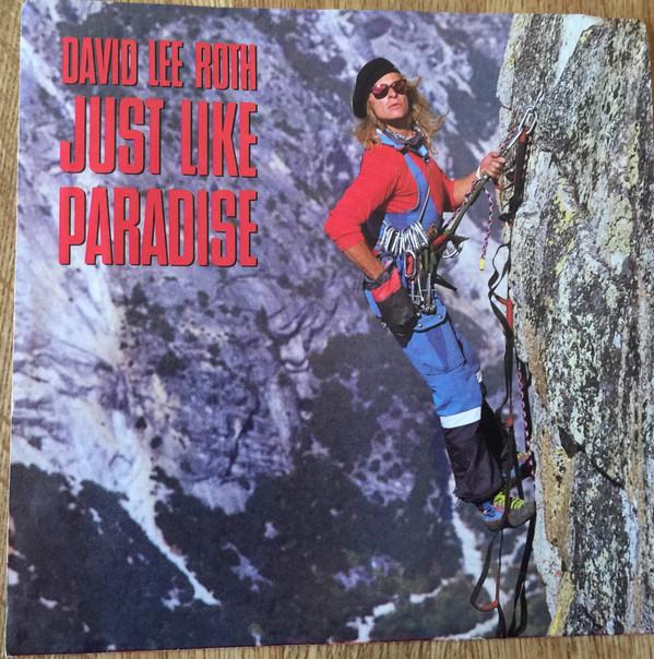 David Lee Roth - Just Like Paradise - Very Good Plus (VG+) - Vinyl