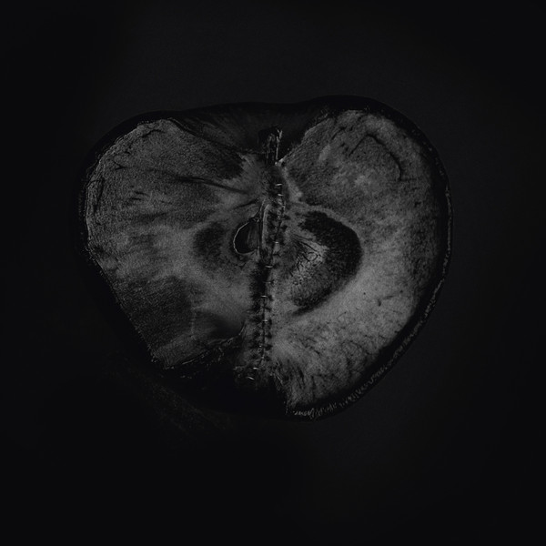 Sádon & Treha Sektori - Symphony Of Dying - Mint (M) - CD