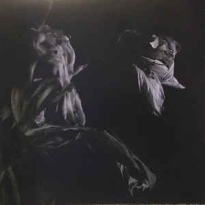 Cavernlight - As We Cup Our Hands And Drink From The Stream Of Our Ache - Mint (M) - Vinyl
